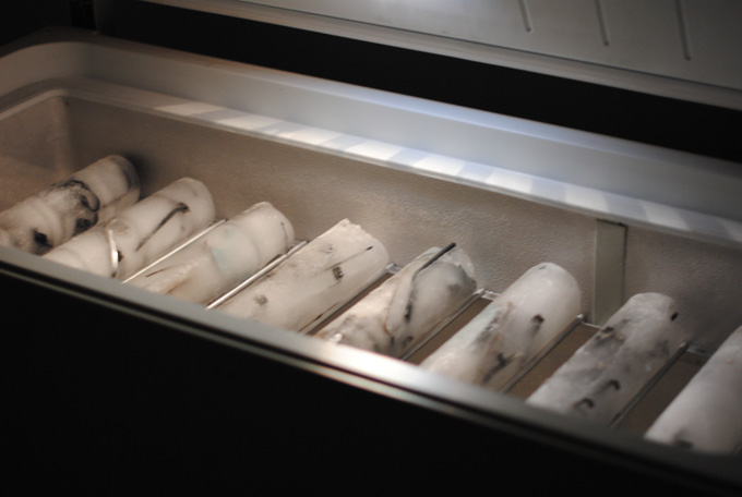 Tactile. Surgélateur, débris de machine à écrire, carottes de glace